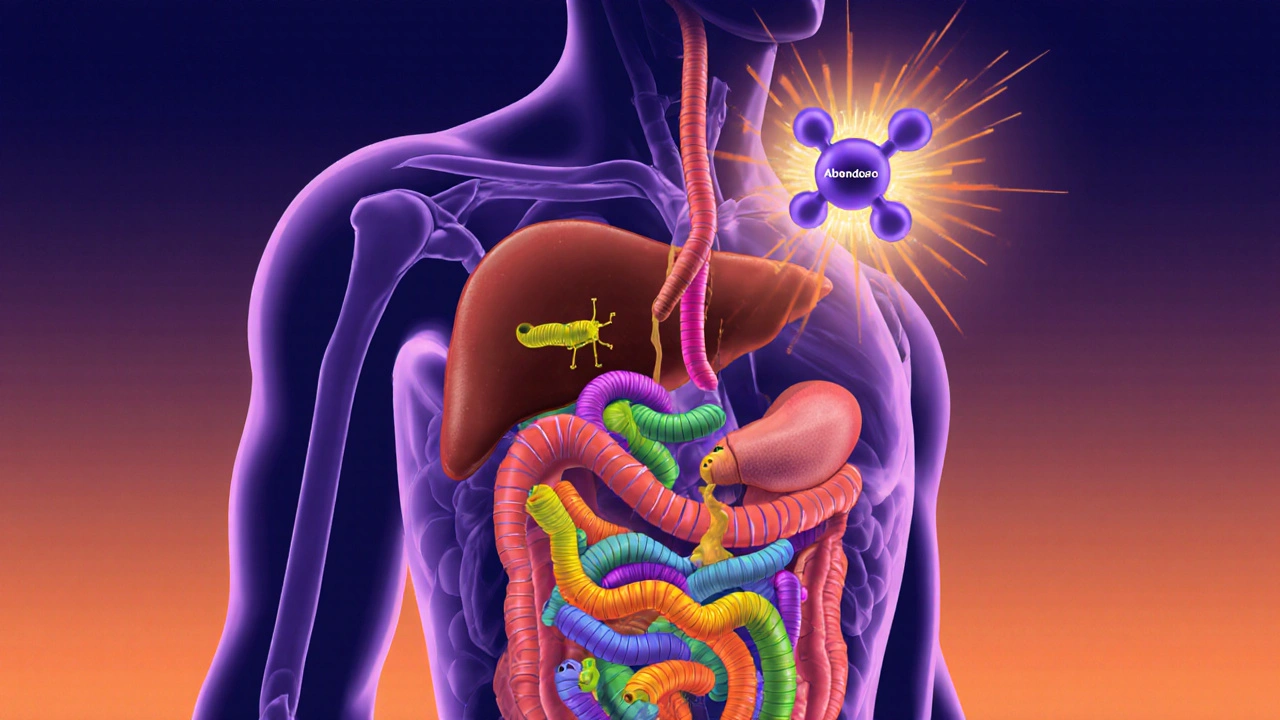 Albendazole: What It Is and How It Works to Fight Parasites